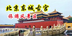 强奸中出少妇观看中国北京-东城古宫旅游风景区